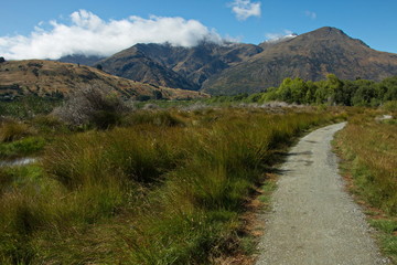 Fototapeta na wymiar Lake Hayes Walkway at Lake Hayes near Arrowtown in Otago on South Island of New Zealand 