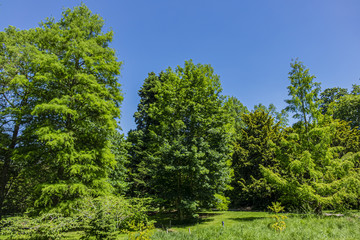 Fototapeta premium Paris public park Vallee-aux-Loups. Located in the heart of Val d'Aulnay in Chatenay-Malabry, the Vallee-aux-Loups Park is a set of parks and gardens of 56 hectares. Paris, France.