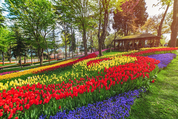 Flower beds in the tulip festival at Emirgan Park, Istanbul