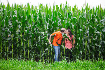 Happy couple kissing at farmland among corn plants