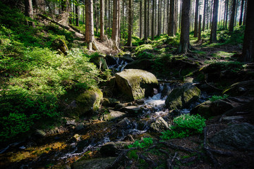 Creek in Karkonoski National Park, near Szklarska Poreba, Poland. May 2019 - obrazy, fototapety, plakaty
