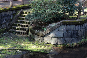 日本の公園の景色