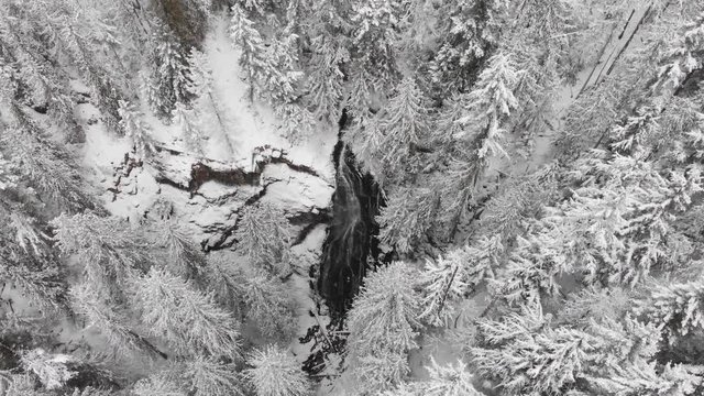 Top View Of The Beautiful Cascade Falls In British Columbia With Pine Trees Covered With Snow On A Winter Day - Aerial Shot