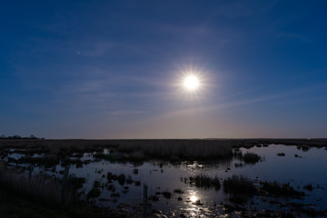 Landscape shot of full moon with rays shining and reflecting in a moor
