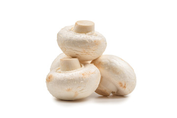 Champignon mushroom isolated on white background.