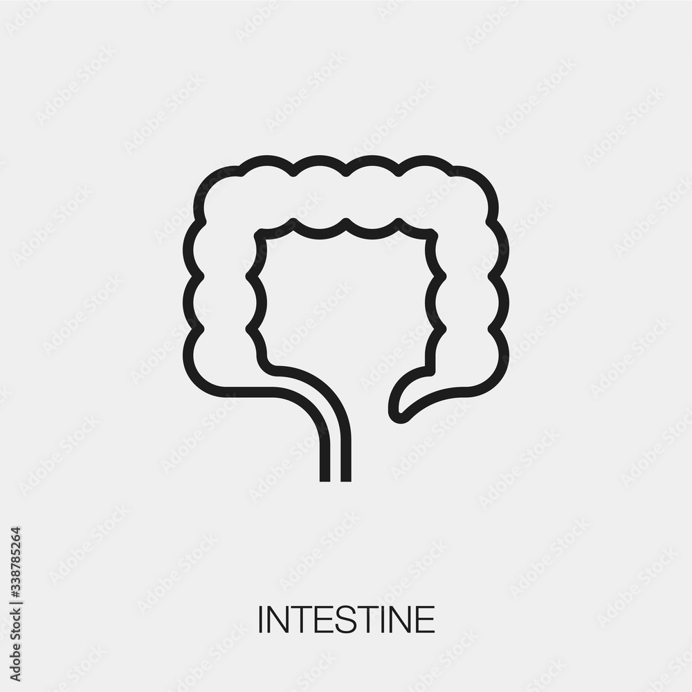 Poster intestine icon vector. linear style sign for mobile concept and web design. intestine symbol illustr