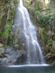 waterfall in the forest