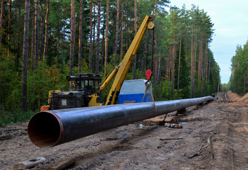 Pipelaying crane lowers a section of pipe into a trench. Construction of gas pipeline to new LNG...
