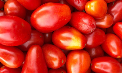 Close up Background of the plurality of oval red tomatoes