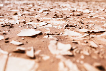 Cracked soil background .
