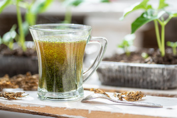 Glass of fresh herbs