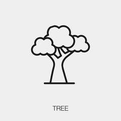 tree icon vector sign symbol