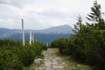 View on Sniezka peak, Karkonoski National Park, Poland. May 2019