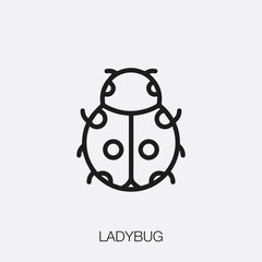 ladybug icon vector sign symbol
