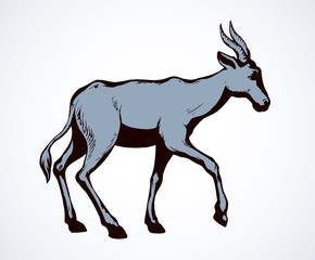 Antelope. Vector illustration