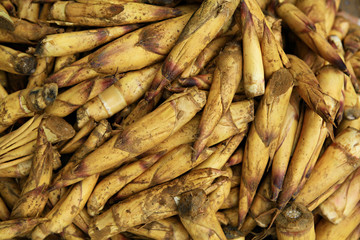 Wild bamboo shoots It's not cleaned up in the morning market Laos 