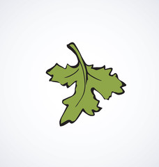Leaf of grapes. Vector drawing