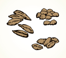 Series of vector illustrations of archaeological finds. Remains of linen, fruit stones and seeds