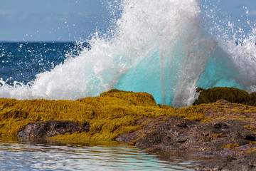 A blue wave breaking into the rocks and making a big splash in Tenerife, Canary Islands, Spain © Daniel