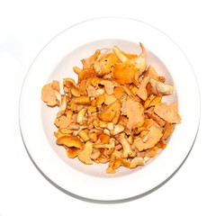 Freshly picked chanterelles on a white plate