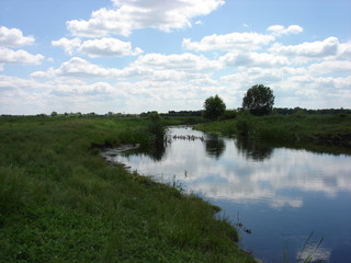 Fototapeta na wymiar Beautiful little river summer sunny day among the flood meadows.