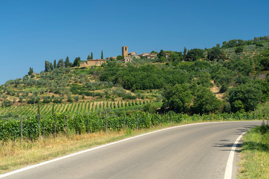 Summer landscape in Arezzo province, italy