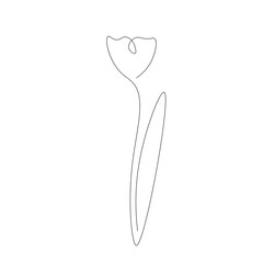 Flower line drawing on white background. Vector illustration