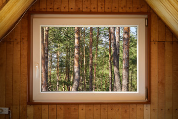 view from the window of wooden house on a sunny spring forest