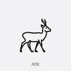 roe icon vector sign symbol