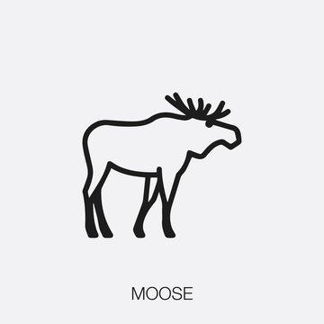 moose icon vector sign symbol