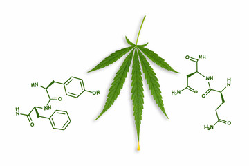Tetrahydrocannabinol cannabis drug molecule. Chemical formula. Marijuana plant isolated on white background. Thematic photo to legalize a plant. Background cap site or wallpaper panoramic  