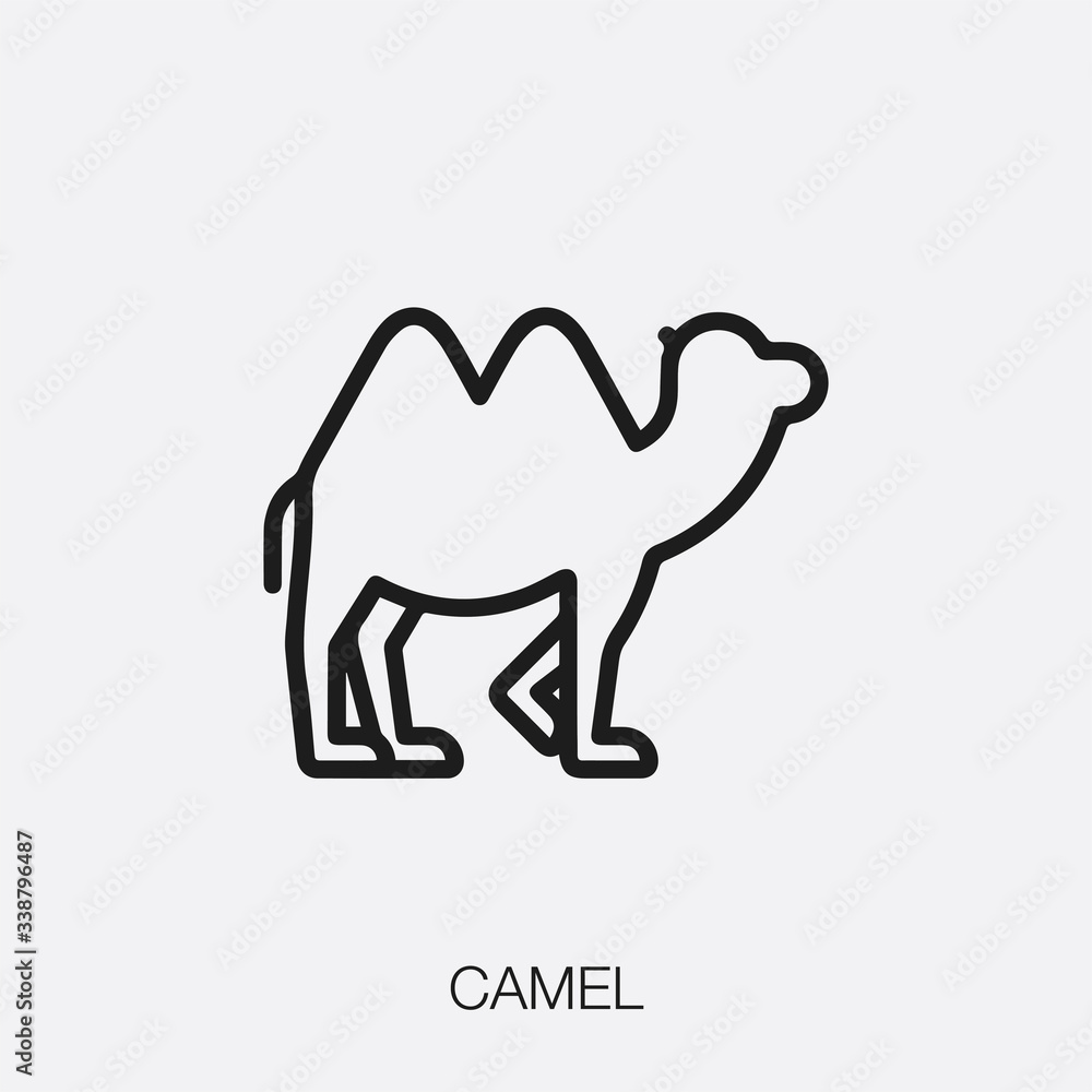 Poster camel icon vector sign symbol