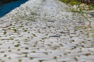 closeup of an alley with cobblestones. grass grows between the cobblestones. - 338798025