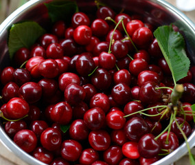 Bowl of juicy red cherries
