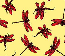 Dragonfly. Vector drawing © Marina