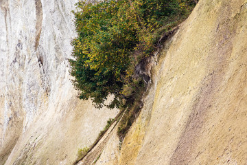 Die Ostseeküste auf der Insel Rügen im Herbst