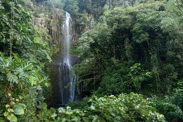 Foto op Canvas Long exposure of Wailua Falls, Maui © Jennifer