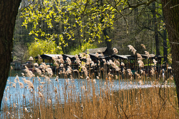 Blick auf Bootshäuser