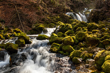 Spring or river Kropa, Bohinj valley