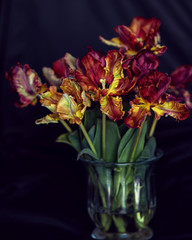 Rote Tulpen in einer Vase.