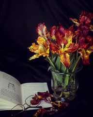 Rote Tulpen in einer Vase. Buch liegt neben dran mit einer Brille.