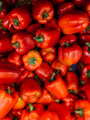 lots of ripe red Bulgarian pepper for eating background