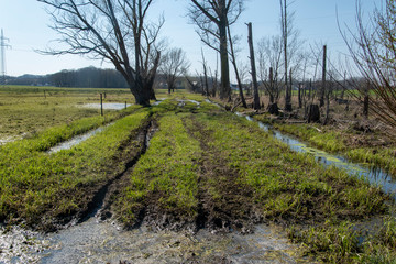 Obraz premium Überschwemmung in den Feuchtwiesen von Bünde Ortsteil Hüffen in Ostwestfalen.