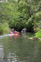 Bootsfahrt im Taubergiessen am Rhein - Boat trip in Taubergiessen on the German river Rhine