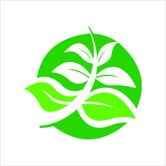 Biodegradable recyclable plastic free package icon. Vector bio recyclable degradable label logo template