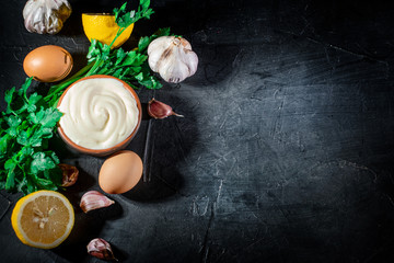 Fototapeta na wymiar Mayonnaise with eggs, parsley and garlic cloves on dark background