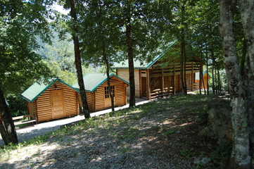wooden house in the woods