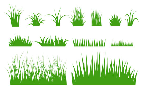 Green grass vector set.