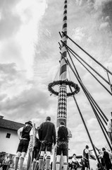 Obraz premium SchwarzWeiß Maibaum