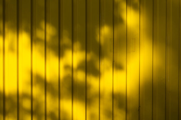 vertically structured yellow wall with shadows of a tree on it